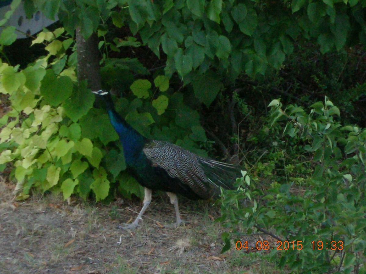 Peacock Villa Upper Epanomí Buitenkant foto